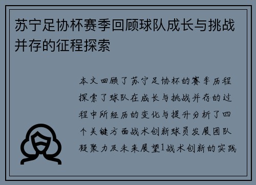苏宁足协杯赛季回顾球队成长与挑战并存的征程探索