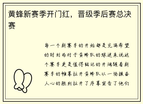 黄蜂新赛季开门红，晋级季后赛总决赛