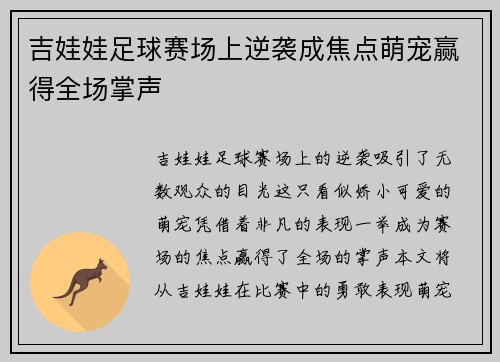 吉娃娃足球赛场上逆袭成焦点萌宠赢得全场掌声