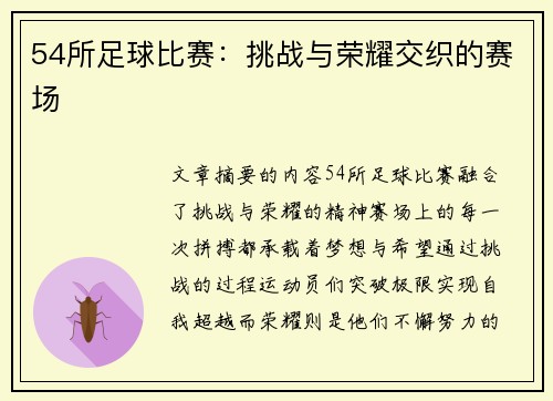 54所足球比赛：挑战与荣耀交织的赛场