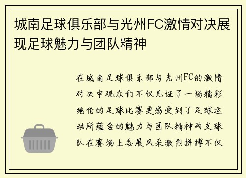 城南足球俱乐部与光州FC激情对决展现足球魅力与团队精神