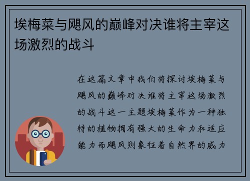 埃梅菜与飓风的巅峰对决谁将主宰这场激烈的战斗